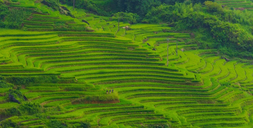 Kho gạo của Phạm Phú Thành